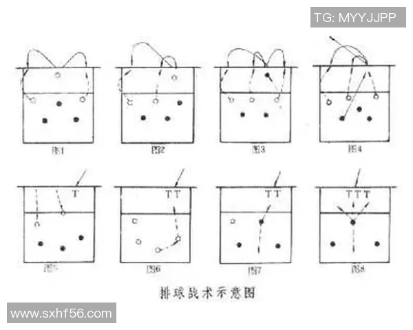 深圳排球队中路突破战术解析与实战应用探讨